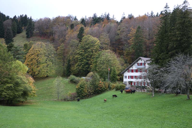 Tannenheim Oberbalmberg, Solothurn (Switzerland)