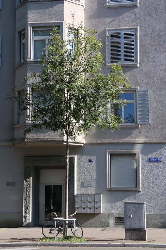 24 hours in Zurich Switzerland