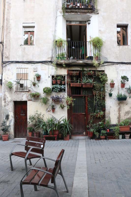 Open street garden in Barcelona