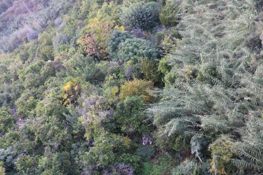 Al Salt, AsSalt, Al-Salt, AlSalt, Jordan، مدينة السلط الاردن, ancient city and architecture greenery