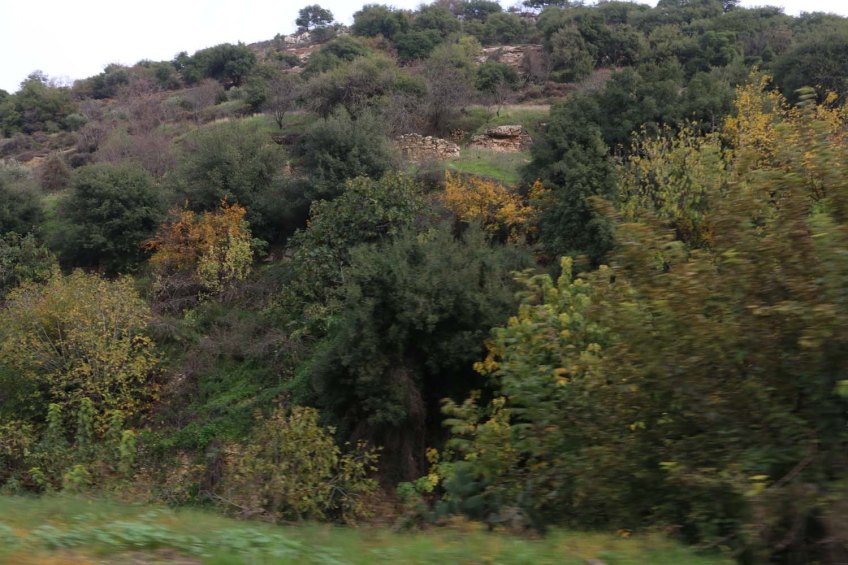 Al Salt, AsSalt, Al-Salt, AlSalt, Jordan، مدينة السلط الاردن, ancient city and architecture وادي شعيب