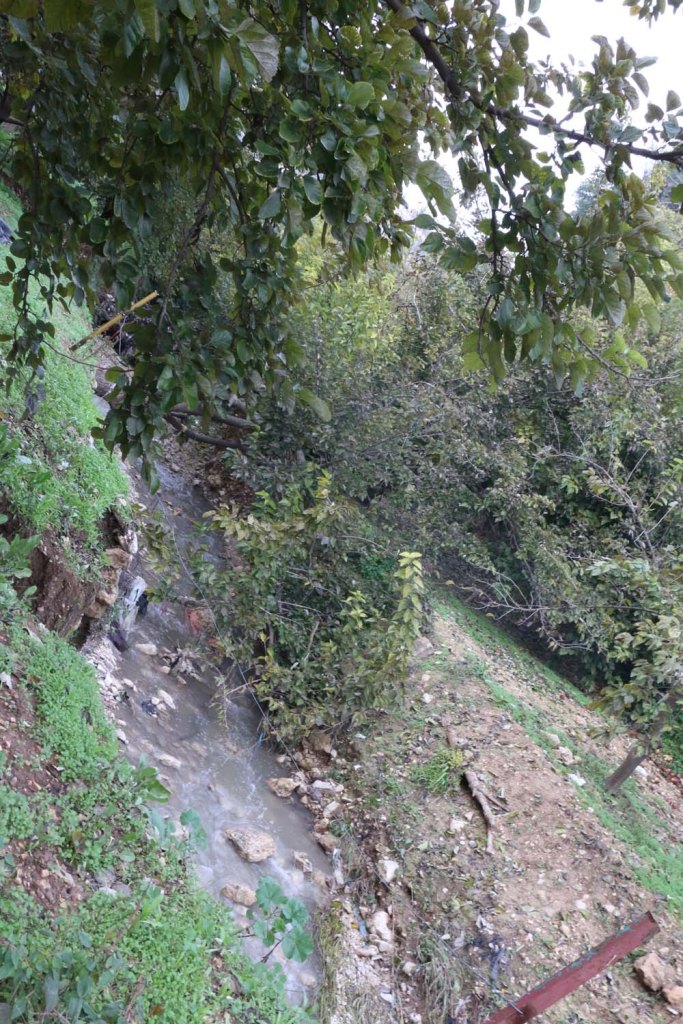 Al Salt, AsSalt, Al-Salt, AlSalt, Jordan، مدينة السلط الاردن, ancient city and architecture وادي شعيب, wadi Shu'ayb