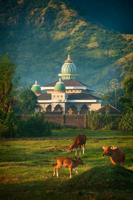 The birth date of Prophet Mohammad PBUH Eid Mawled Al Nabawi Beautiful Islamic Art and Architecture and Mosques in Bali