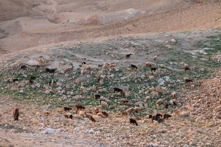 The historic ancient attraction in Jordan of the Mukawir Fortress