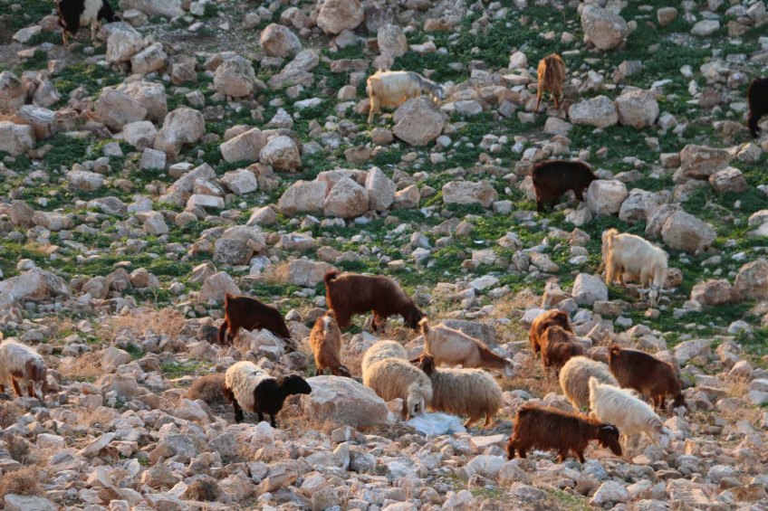 The historic ancient attraction in Jordan of the Mukawir Fortress