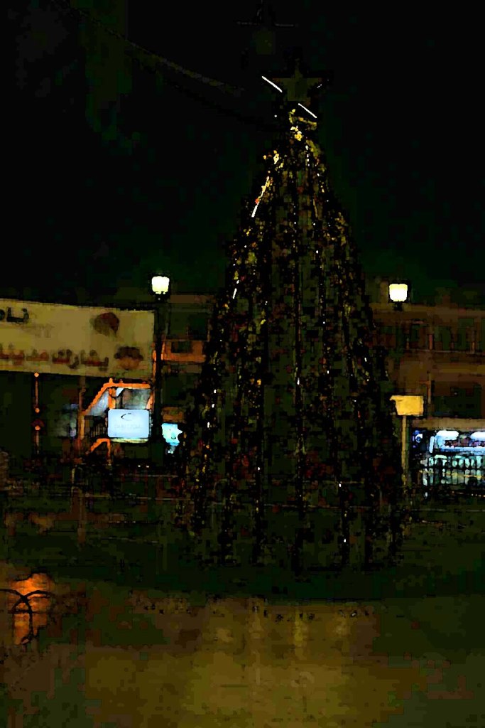 Christmas Tree and holiday in Amman Jordan beautiful in webdeh paris circle