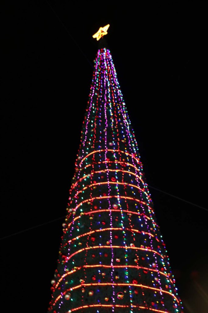 Christmas Tree and holiday in Amman Jordan beautiful in Fuheis near by amman in jordan