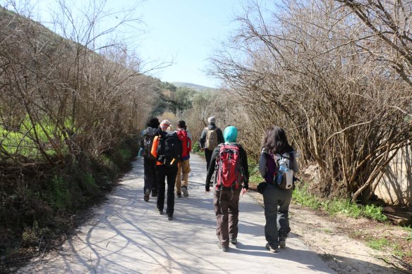 Hiking and trekking in the Jordanian Valleys 