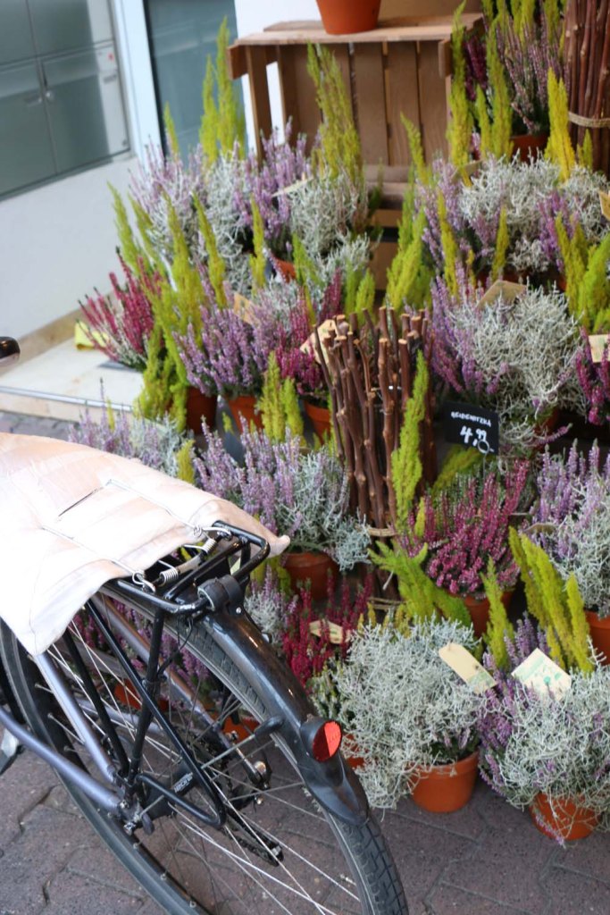Bicycle and lavender