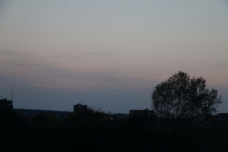 Sunset at the Mauerpark