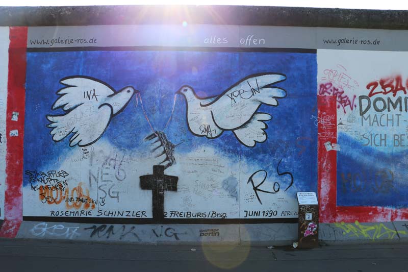 Dove of peace flying