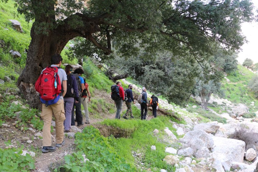 Hiking through Wadi Rayan Yabis between Ajloun and Jordan Valley