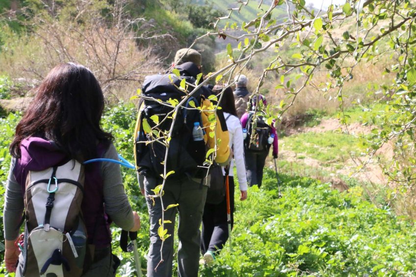 Hiking through Wadi Rayan Yabis between Ajloun and Jordan Valley