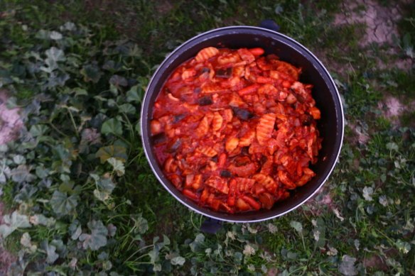 Hiking through Wadi Rayan Yabis between Ajloun and Jordan Valley