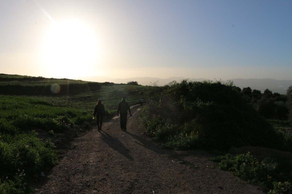 Hiking through Wadi Rayan Yabis between Ajloun and Jordan Valley