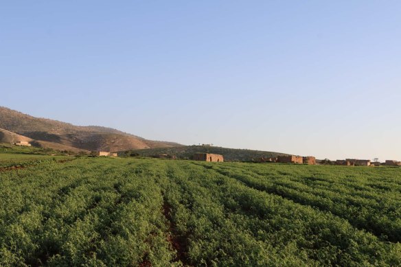 Hiking through Wadi Rayan Yabis between Ajloun and Jordan Valley
