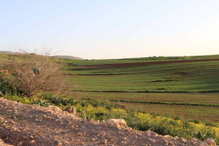 Hiking through Wadi Rayan Yabis between Ajloun and Jordan Valley