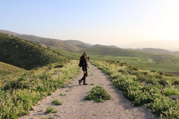Hiking through Wadi Rayan Yabis between Ajloun and Jordan Valley