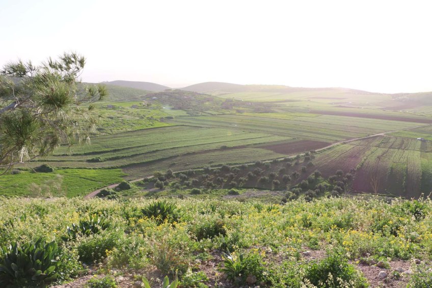 Hiking through Wadi Rayan Yabis between Ajloun and Jordan Valley