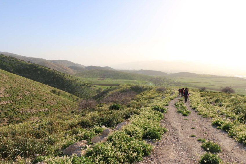 Hiking through Wadi Rayan Yabis between Ajloun and Jordan Valley