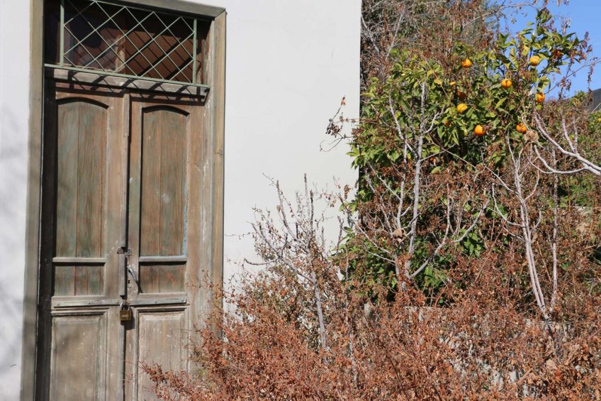 Old antique brown door