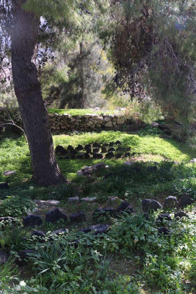 Garden of Khalid shoman foundation