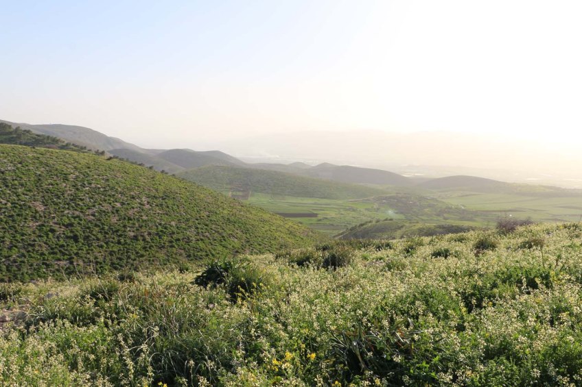 Hiking through Wadi Rayan Yabis between Ajloun and Jordan Valley