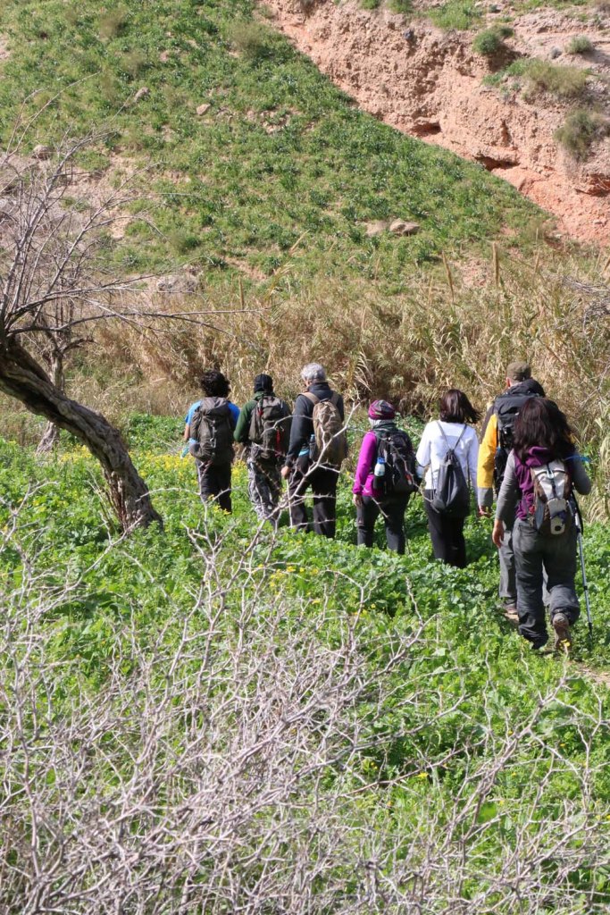 Hiking through Wadi Rayan Yabis between Ajloun and Jordan Valley