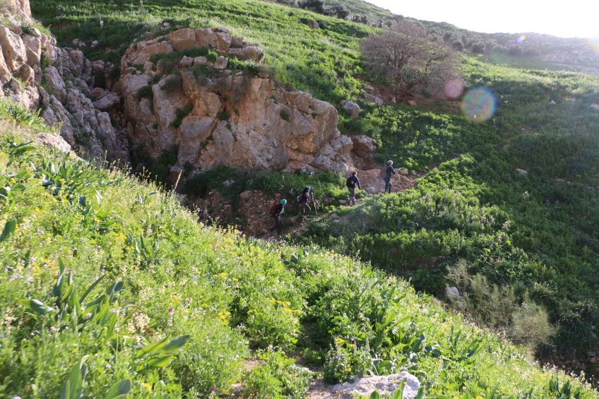 Hiking through Wadi Rayan Yabis between Ajloun and Jordan Valley