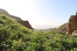 Hiking through Wadi Rayan Yabis between Ajloun and Jordan Valley