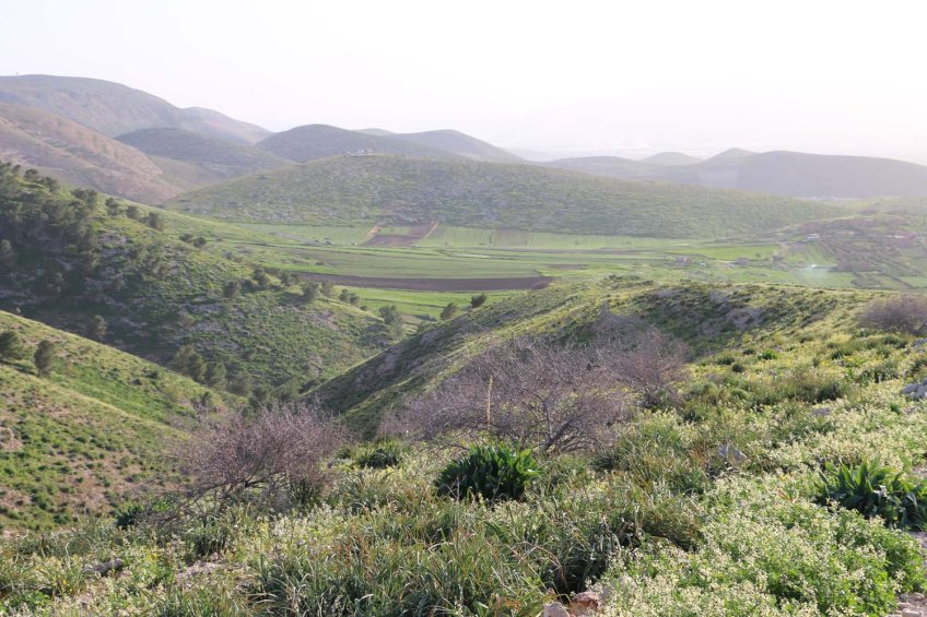 Hiking through Wadi Rayan Yabis between Ajloun and Jordan Valley