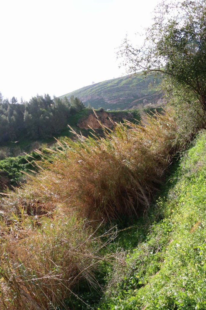 Hiking through Wadi Rayan Yabis between Ajloun and Jordan Valley