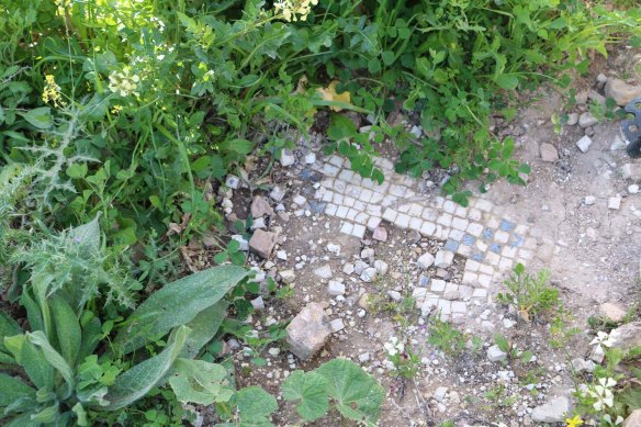 Hiking through Wadi Rayan Yabis between Ajloun and Jordan Valley