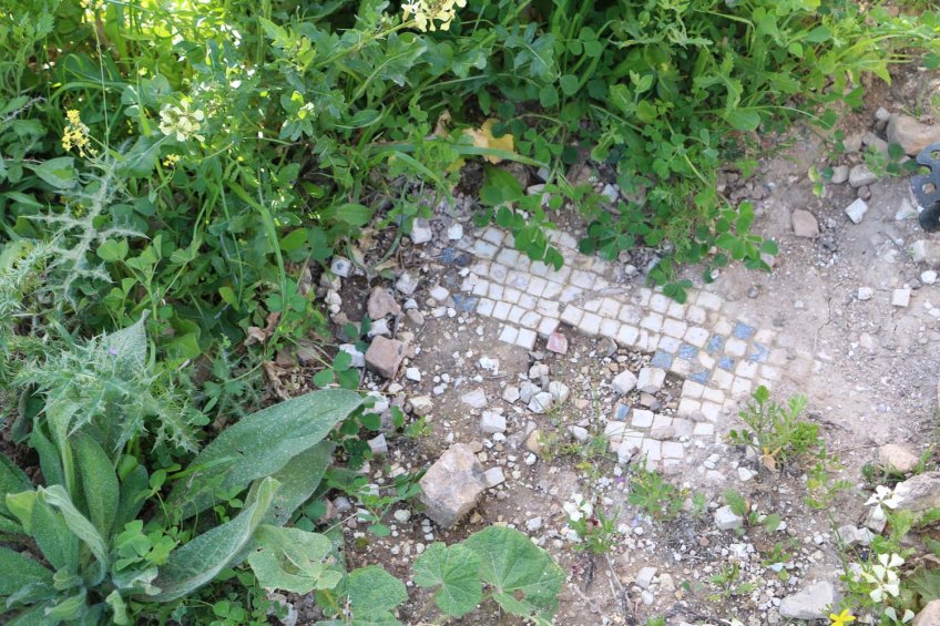 Hiking through Wadi Rayan Yabis between Ajloun and Jordan Valley