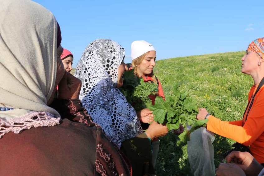 Hiking through Wadi Rayan Yabis between Ajloun and Jordan Valley