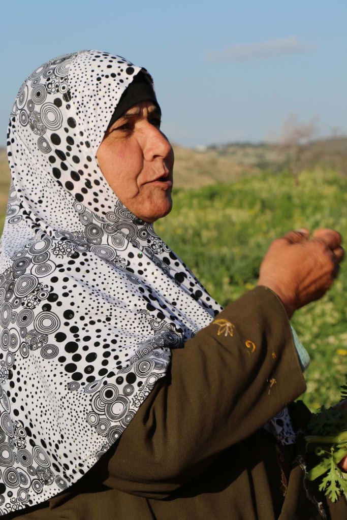 Hiking through Wadi Rayan Yabis between Ajloun and Jordan Valley