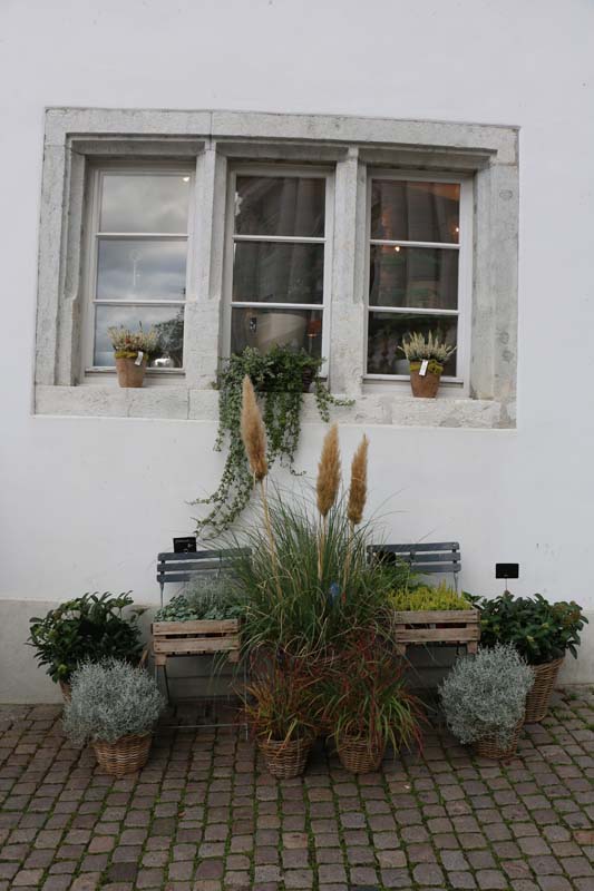 Beautiful flower shop