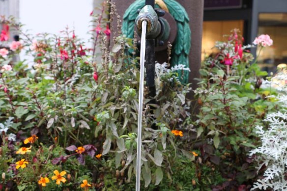 There are 11 fountains in Solothurn