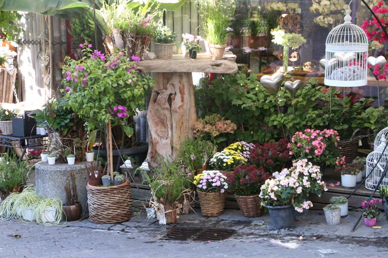Flower shop in Zurich