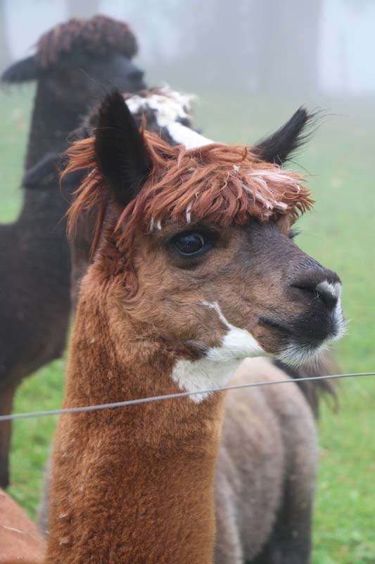 Jura Mountains Switzerland