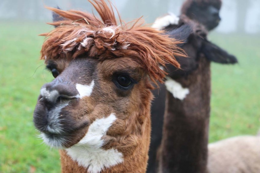 Jura Mountains Switzerland