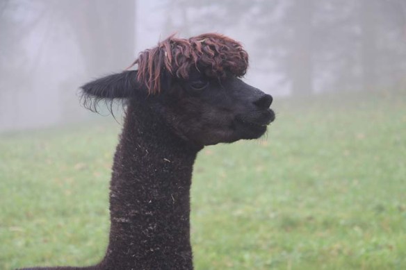 Jura Mountains Switzerland