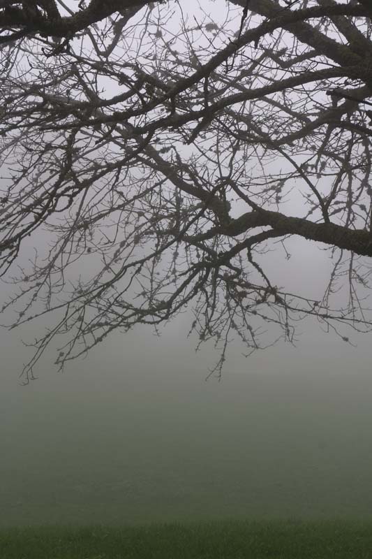 Foggy Jura Mountains Switzerland