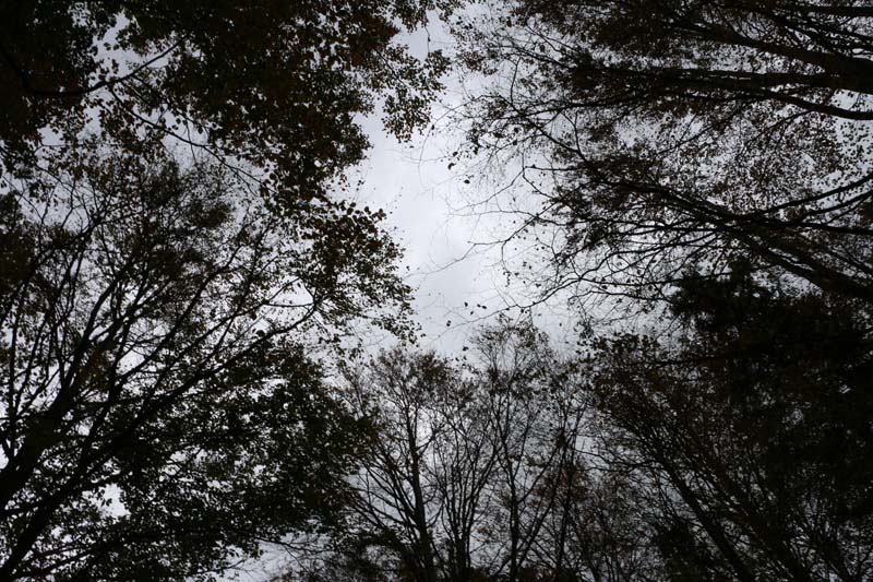 Jura Mountains Switzerland