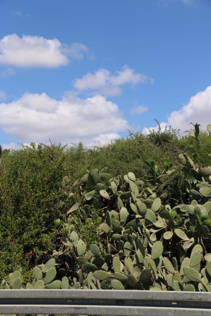 Visiting the old city of Akka Akko in occupied Palestine Israel