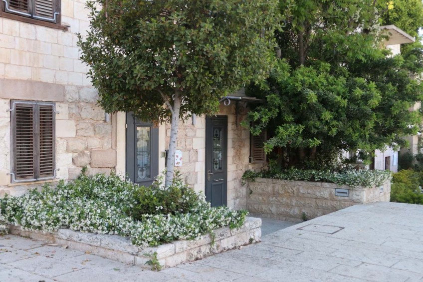 Architecture houses and nature of Haifa Palestine Israel