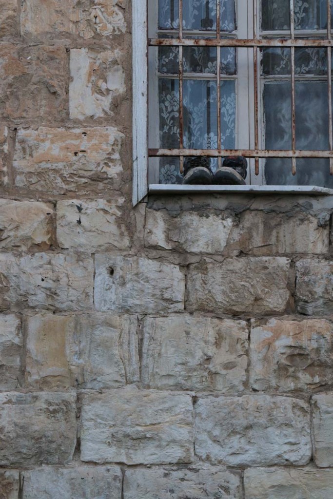 Architecture houses and nature of Haifa Palestine Israel