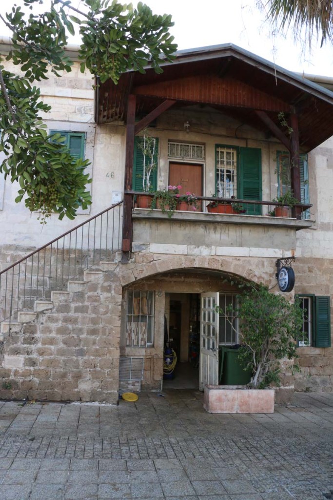 Architecture houses and nature of Haifa Palestine Israel