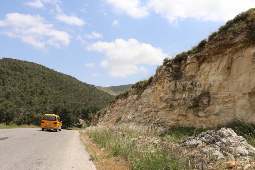 Old houses in the city of Nablus