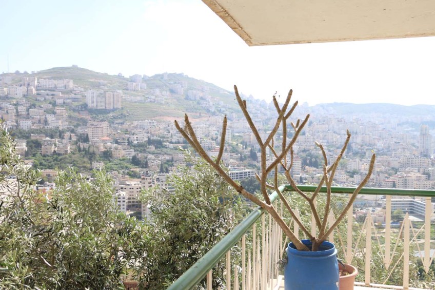 Overlooking Nablus جبل النار